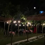 Olivia's Hill Kryemëdhej