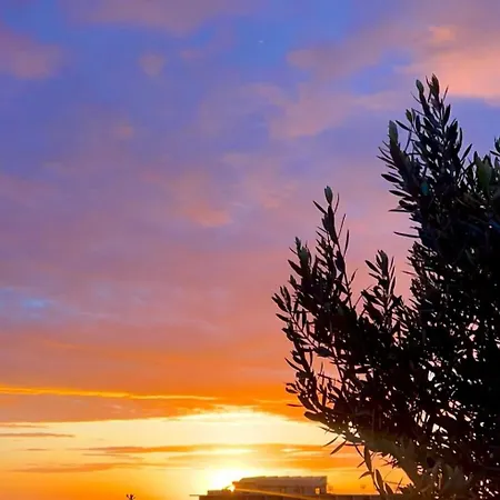 Padel Olivia's Hill ホテル