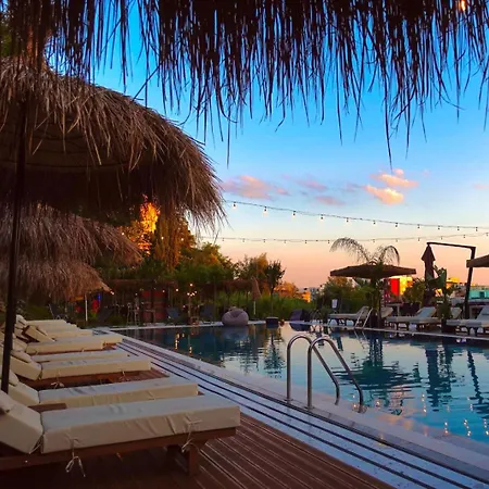 Padel Olivia's Hill ホテル