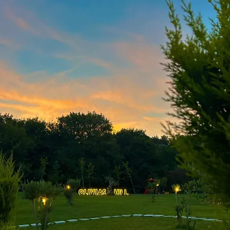Hotel Padel Olivia's Hill