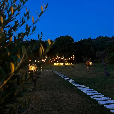 Padel Olivia's Hill 4*