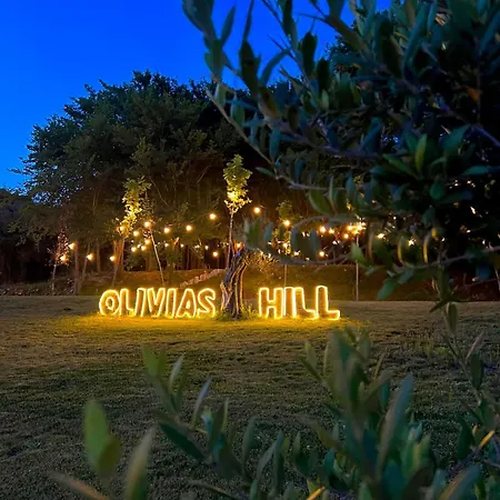 Padel Olivia's Hill 4* Kryemëdhej