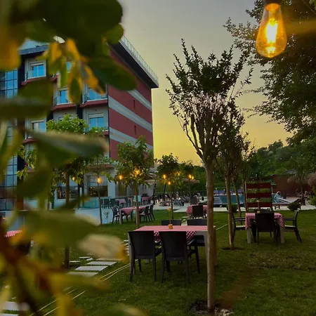 Olivia's Hill Hotel