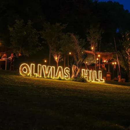 Olivia's Hill