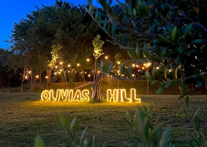 Padel Olivia's Hill 4* Kryemëdhej