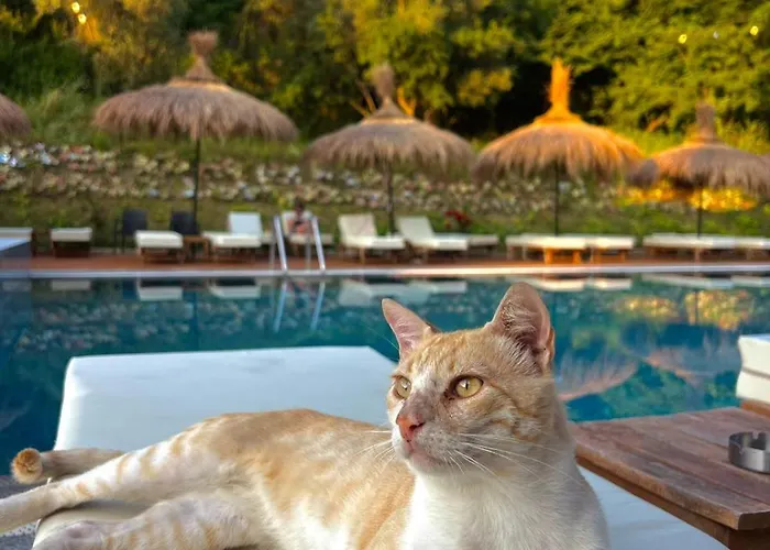 Hotel Olivia's Hill 4*